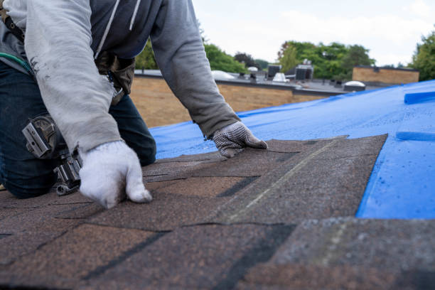 Best Roof Leak Repair  in Botkins, OH