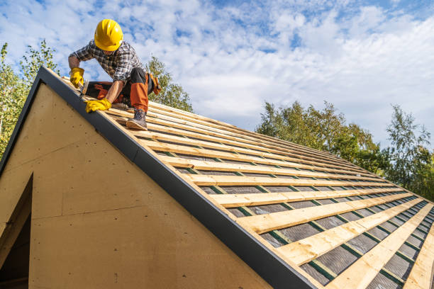 Best Storm Damage Roof Repair  in Botkins, OH
